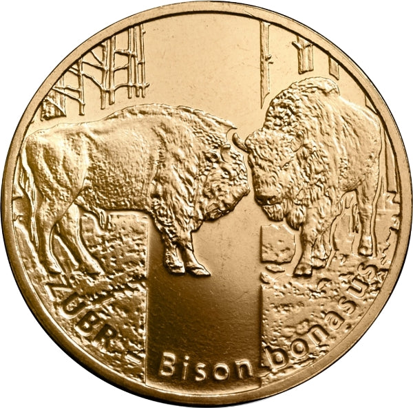 Żubr (łac. Bison bonasus)