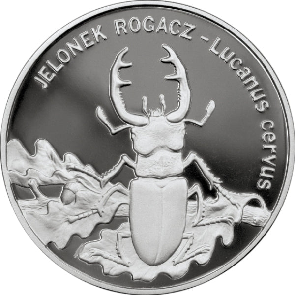 Jelonek rogacz (łac. Lucanus cervus)