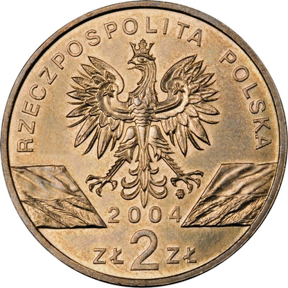 Morświn (łac. Phocoena phocoena)
