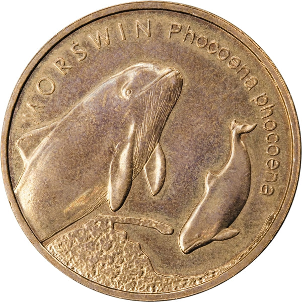 Morświn (łac. Phocoena phocoena)