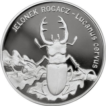 Jelonek rogacz (łac. Lucanus cervus)
