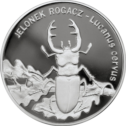 Jelonek rogacz (łac. Lucanus cervus)
