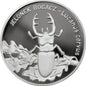 Jelonek rogacz (łac. Lucanus cervus)